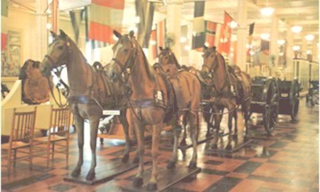 Taxidermized Horses in the Rock Island Arsenal Ordinance Museum