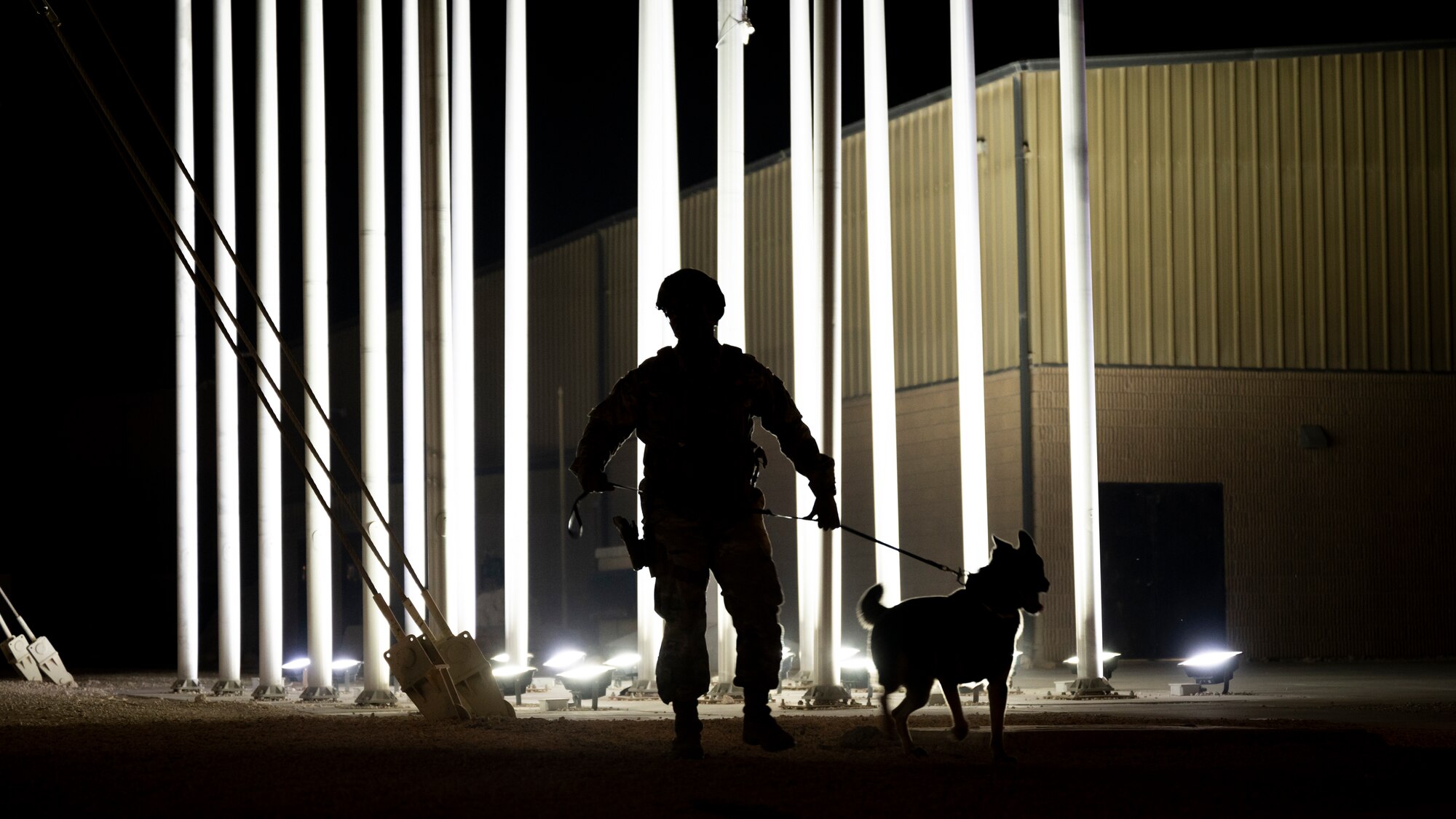 Photo of U.S. Air Force security forces member alongside his military working dog