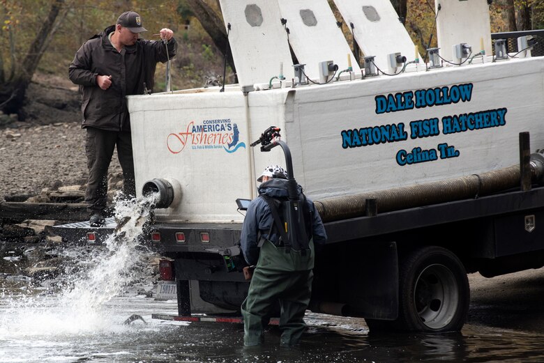 Director Zebediah Smith with Open Jaw Productions captures video of Jerry Short releasing trout Nov. 3, 2021 into the Caney Fork River below Center Hill Dam in Lancaster, Tennessee. The dam’s tailwater provides world-class trout fishing opportunities. Short is a motor vehicle operator with the Dale Hollow National Fish Hatchery Fish Rearing and Distribution. (USACE Photo by Lee Roberts)