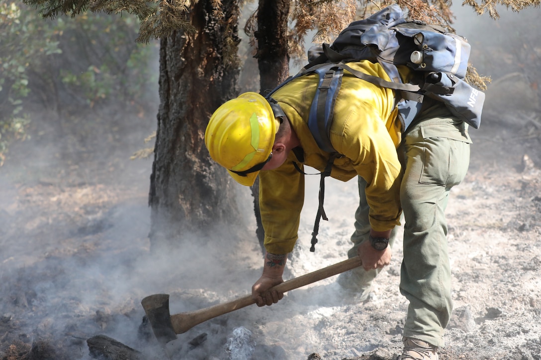 DoD Wildland Firefighting Response