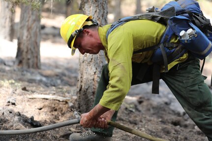 DoD Wildland Firefighting Response