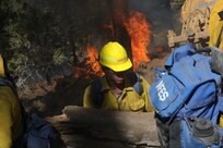 Army Reserve Officer Coordinates DoD Fire Response