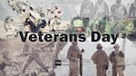 LTG Place, Director of the DHA delivers his Veterans Day message