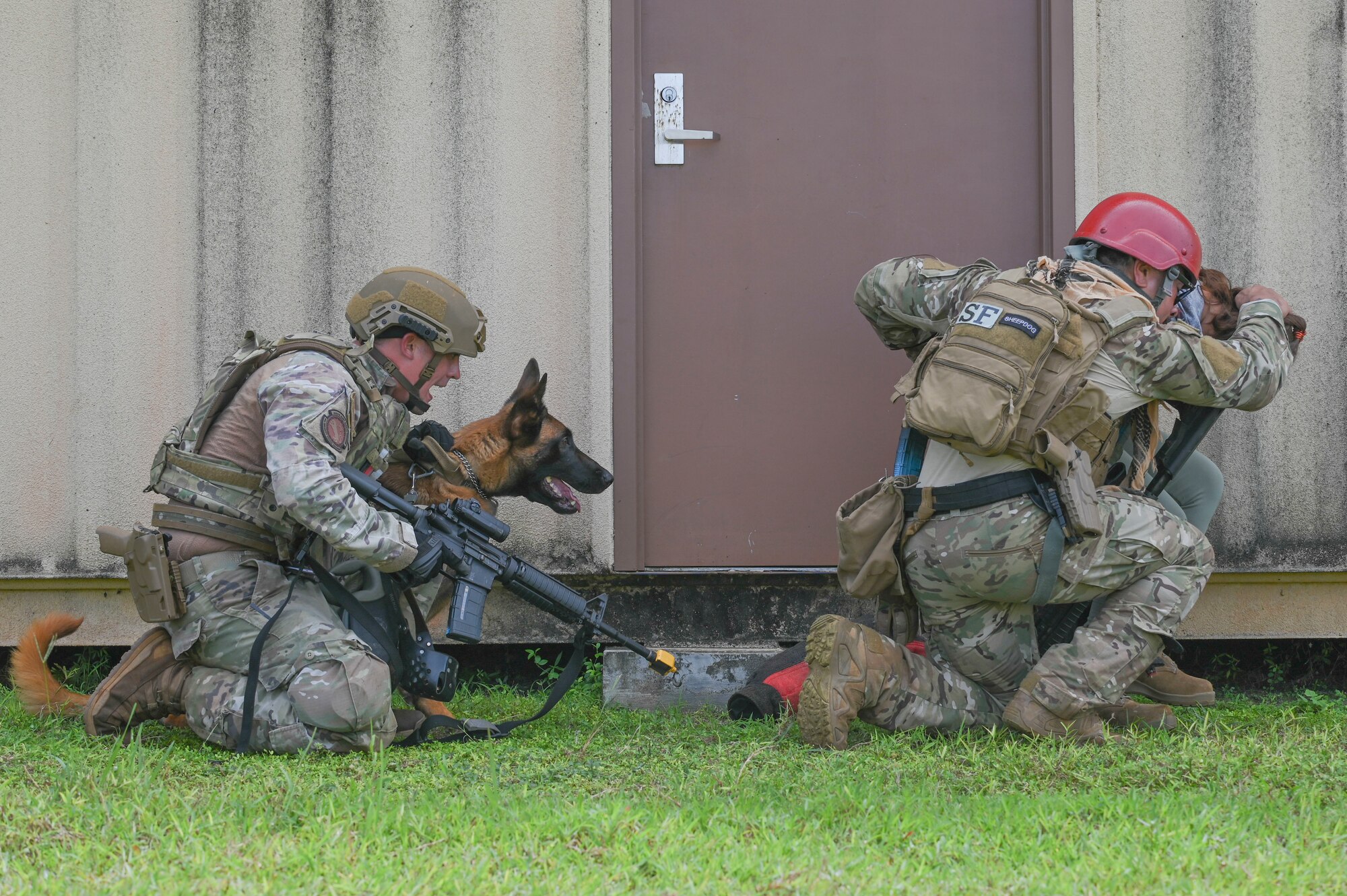 Airmen kneeling with a military working dog.