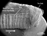 black and white SEM image of chip