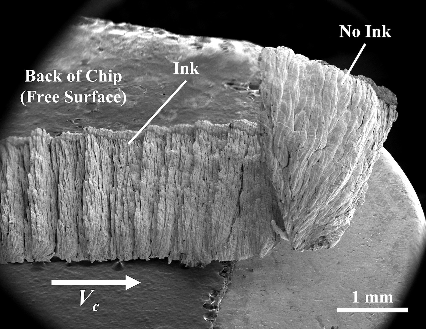 black and white SEM image of chip