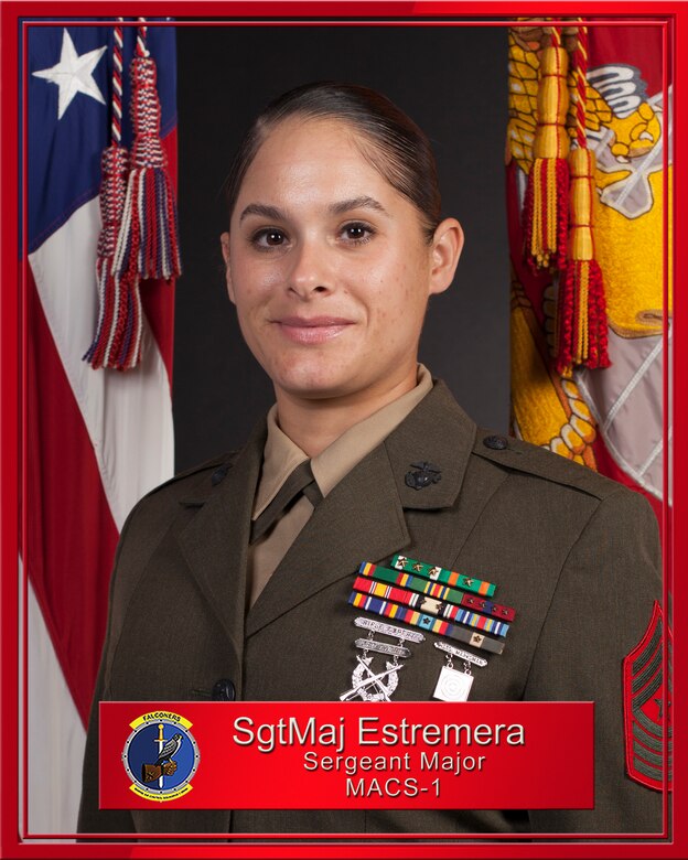 Sergeant Major Elba N. Estremera