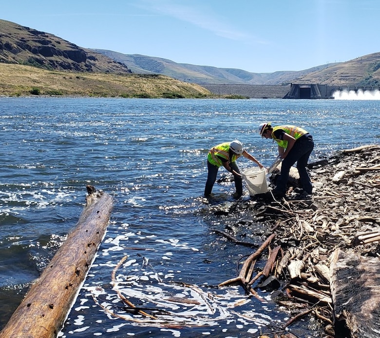 Robert Jones and another Hydropower Intern work along the shoreline downstream from Lower Granite Dam.