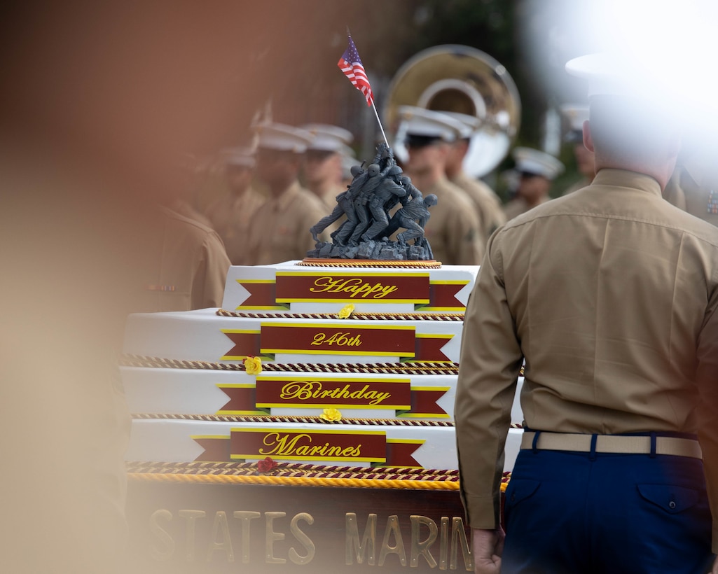 246th Marine Corps Birthday Ceremony at MARFORRES