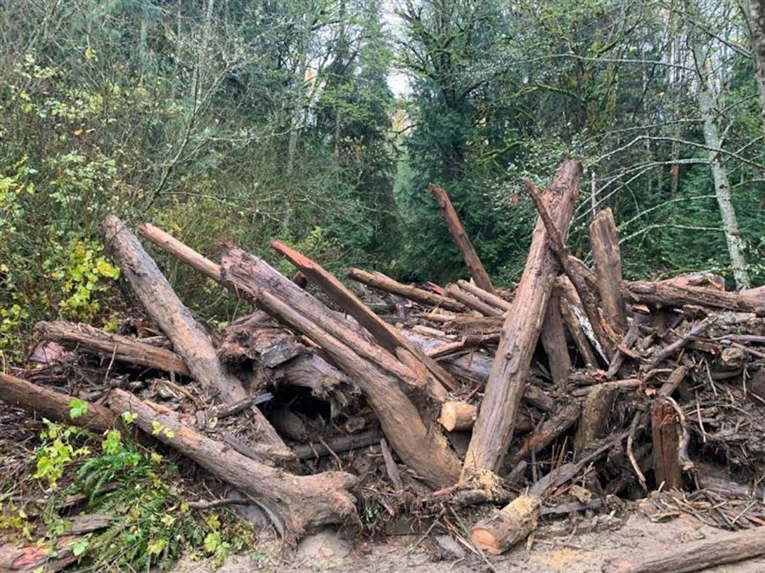 Debris and logs collected from the Skagit River, Washington, Nov. 13, 2021, after the atmospheric river event, which began Nov. 10.