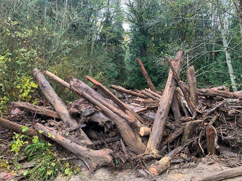 Debris and logs collected from the Skagit River, Washington, Nov. 13, 2021, after the atmospheric river event, which began Nov. 10.