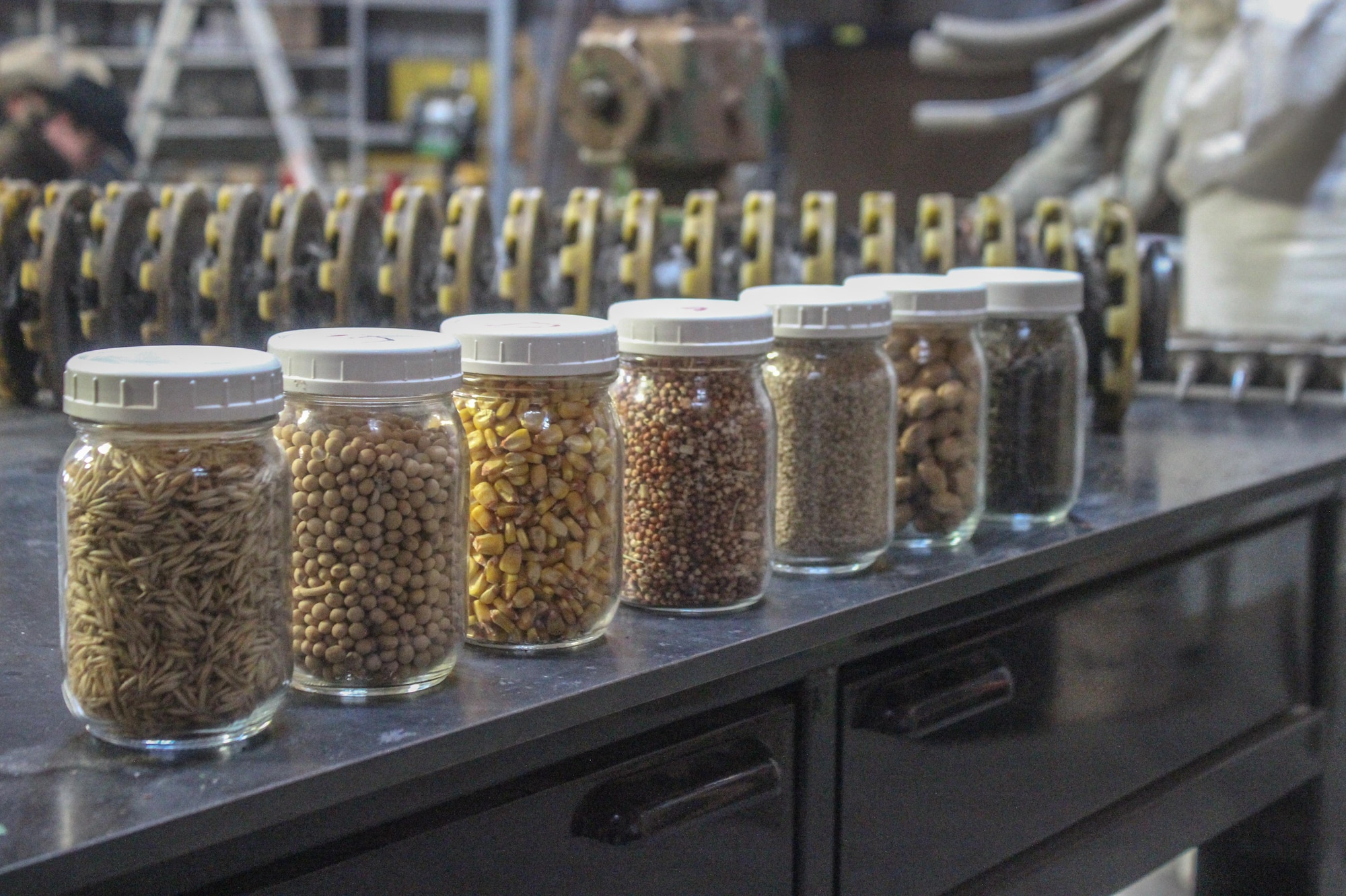 Different crop seed container are lined up on a table