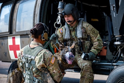 U.S. Army Spc. Kayla Garcia, a military working dog handler (MWD) assigned to Army Forces Battalion, Joint Task Force Bravo, hooks up MWD Zoli to a UH-60 Blackhawk hoist during a joint hoist training at Soto Cano Air Base, Honduras, Oct. 29, 2021.