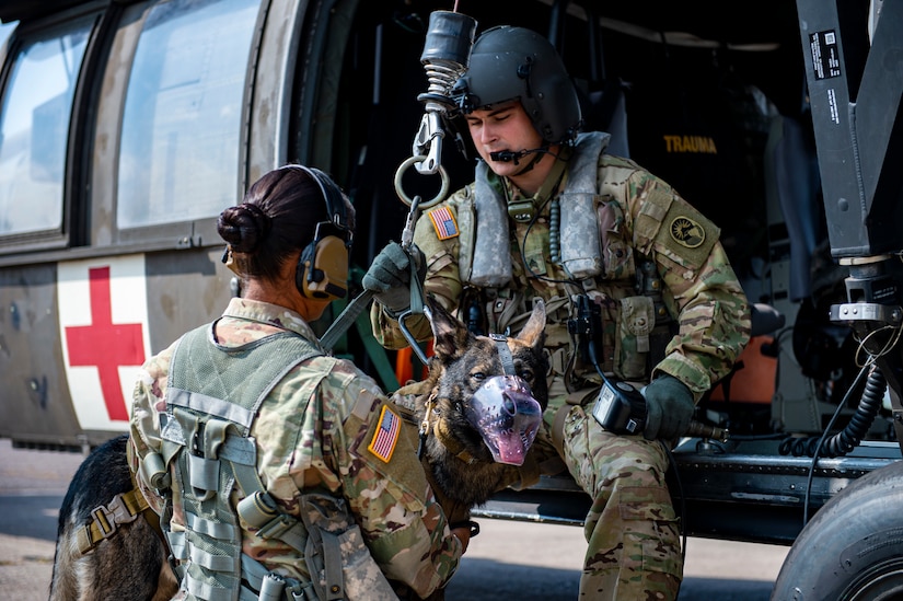 U.S. Army Spc. Kayla Garcia, a military working dog handler (MWD) assigned to Army Forces Battalion, Joint Task Force Bravo, hooks up MWD Zoli to a UH-60 Blackhawk hoist during a joint hoist training at Soto Cano Air Base, Honduras, Oct. 29, 2021.