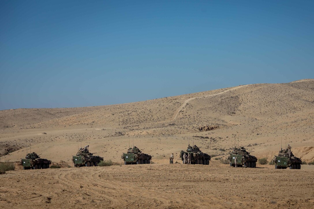 A line of military vehicles roll across a desert.