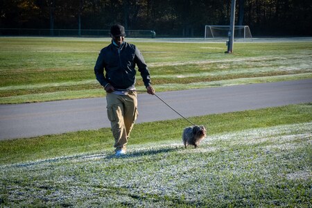 a man walks a dog on a leash.