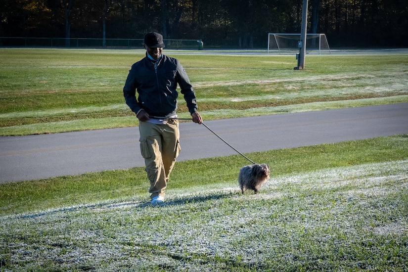 a man walks a dog on a leash.