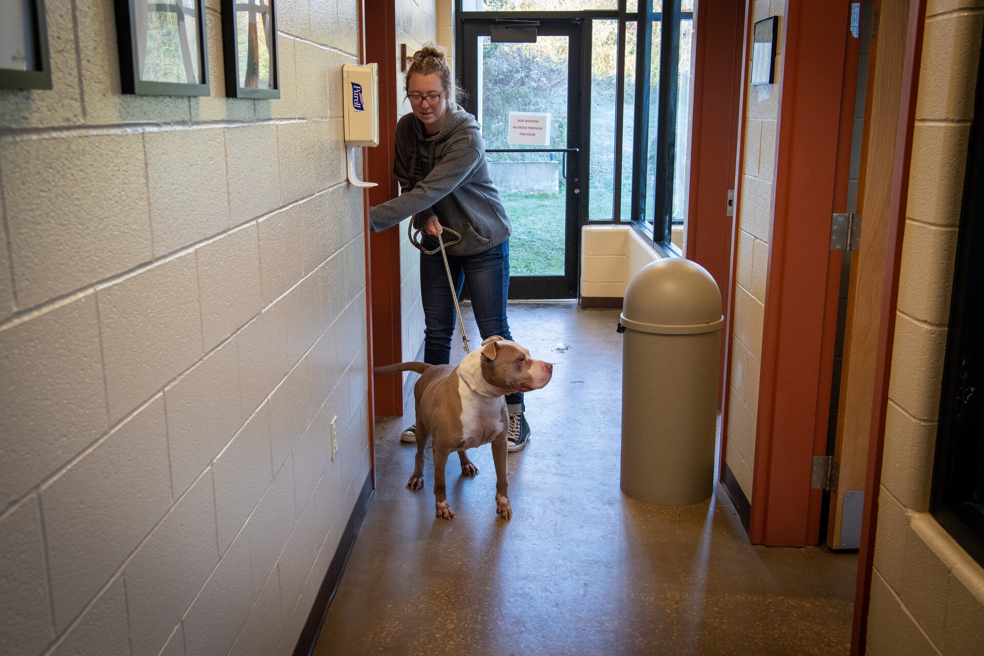 a woman walks a dog on a leash.