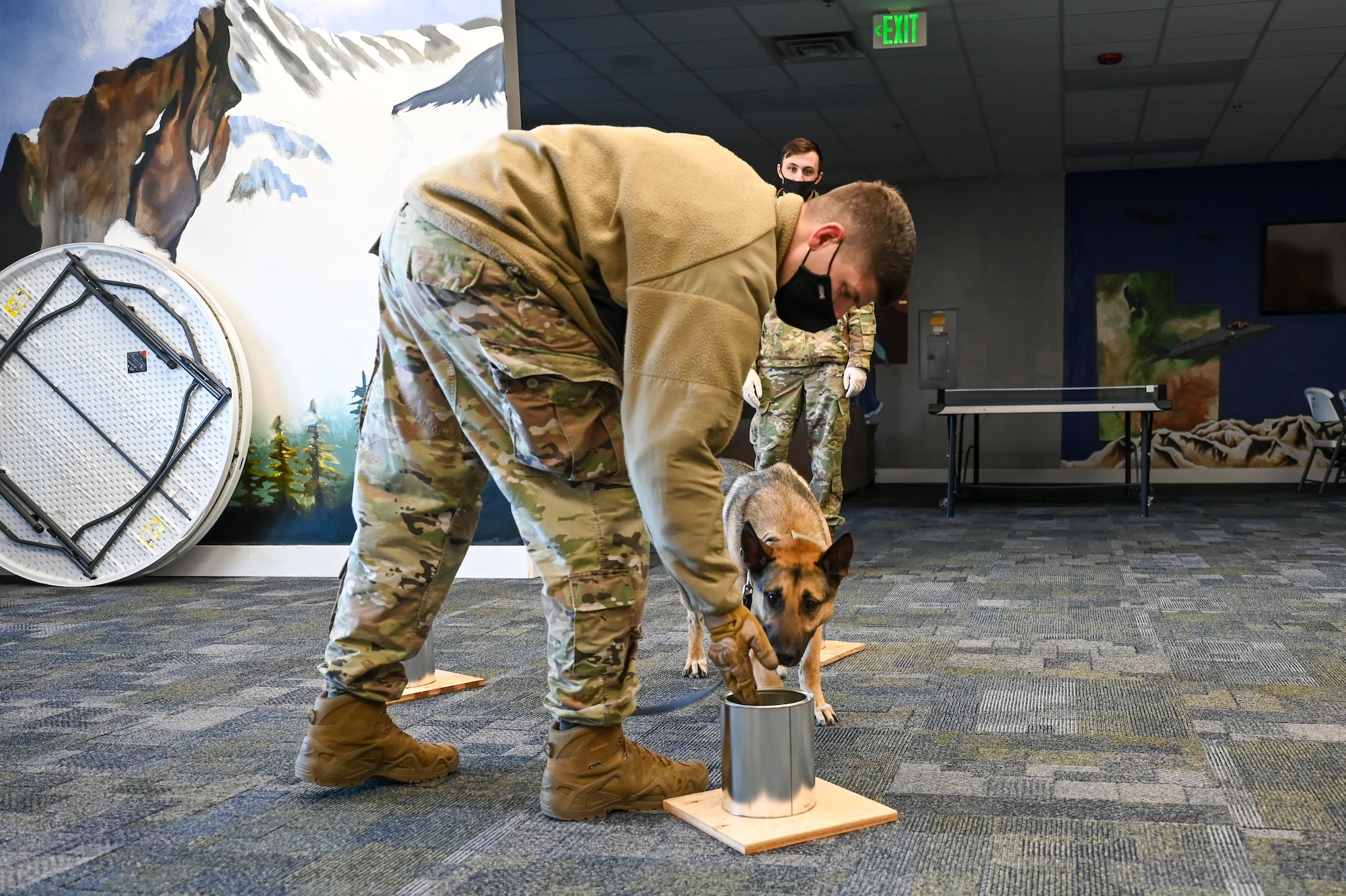 Staff Sgt. Benjamin Davis, 75th Security Forces Squadron military working dog handler, and MWD Joe, train on odor imprinting Nov. 17, 2021, at Hill Air Force Base, Utah. Military working dogs and their handlers from 75th SFS conducted joint K-9 training with local, state and federal law enforcement dog teams to foster partner relations and enhance capabilities. (U.S. Air Force photo by Cynthia Griggs)