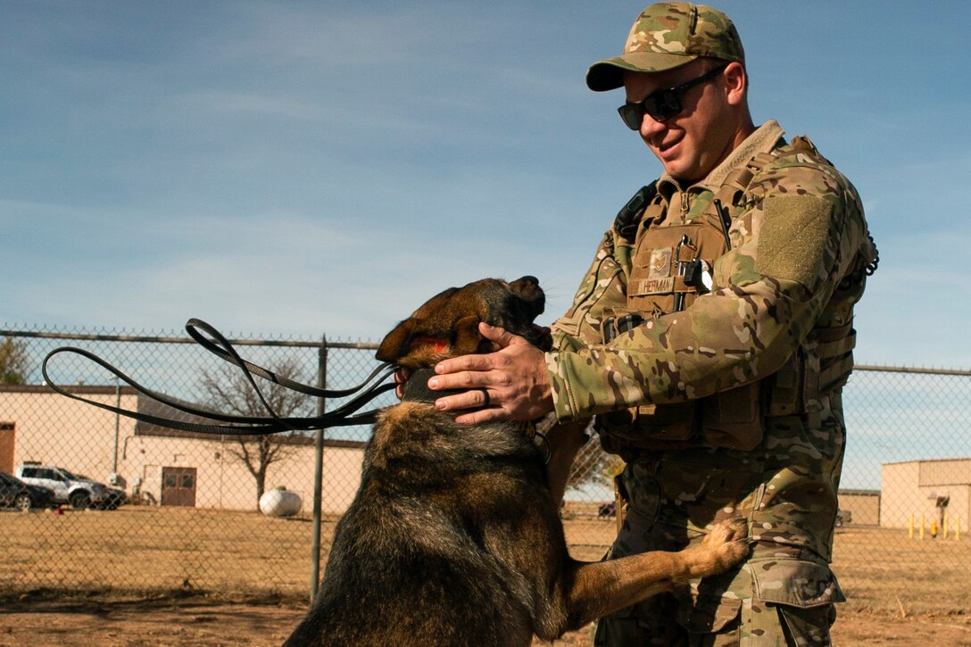 An airman pets a military working dog.