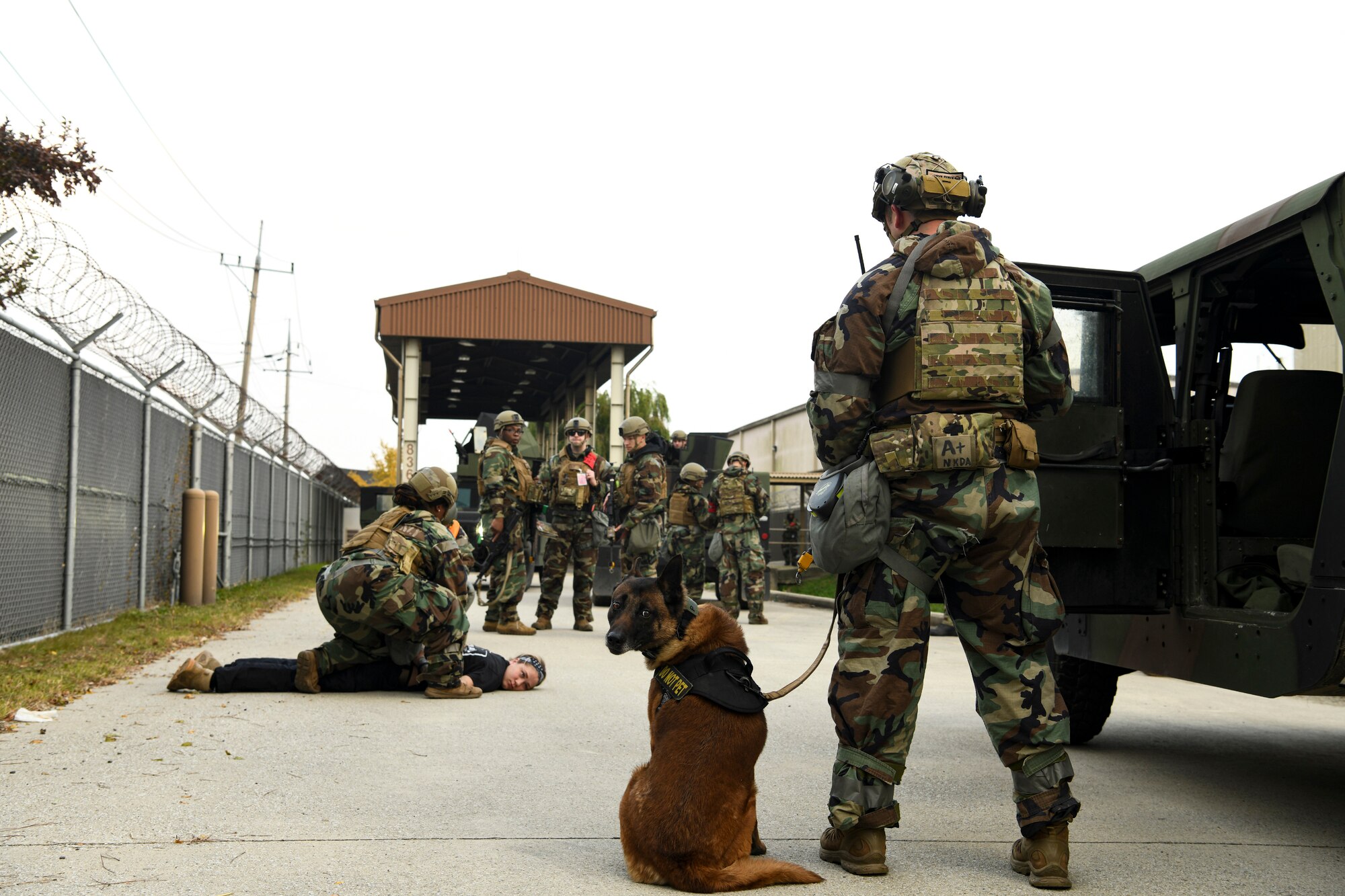 Pedro, an 8th Security Forces Squadron Military Working Dog, sits while 8th SFS defenders apprehend a simulated trespasser during a routine training event at Kunsan Air Base, Republic of Korea, Nov. 1, 2021. The Kunsan defenders are constantly training on their efficiency on base defense, leading to successfully locating and apprehending the simulated trespassers. (U.S. Air Force photo by Staff Sgt. Jesenia Landaverde)