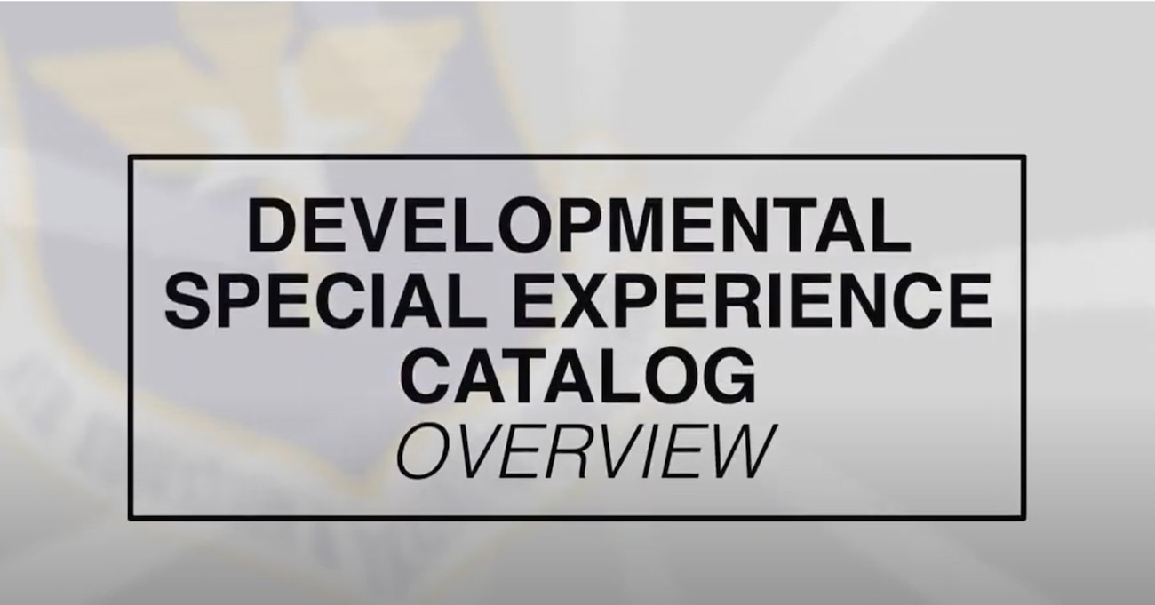 This is a brief overview of the Developmental Special Experience (DSE) Catalog for organizations/units to use during commander calls, briefings, and more.