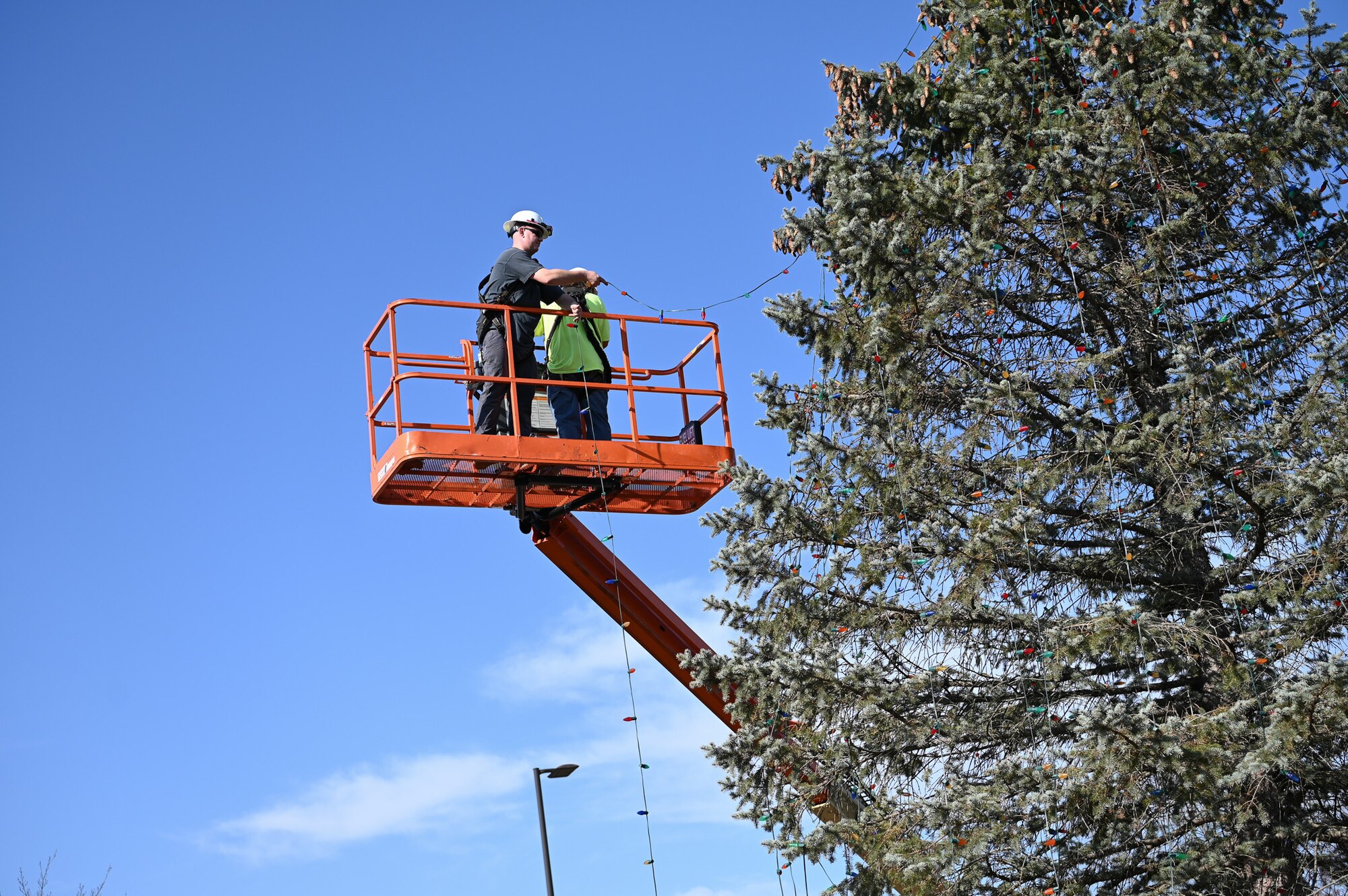 Electricians string up the lights for the installation holiday tree