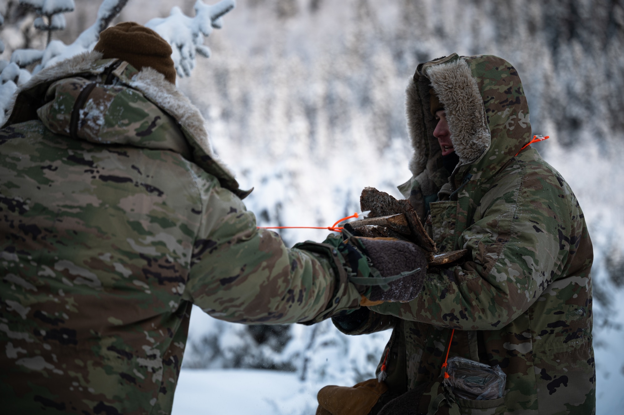 A U.S. Air Force Arctic Survival Training student hands a pile of firewood to a Survival, Evasion, Resistance and Escape specialist assigned to the Arctic Survival Training School during a recovery exercise on Eielson Air Force Base, Alaska, Nov. 18, 2021.