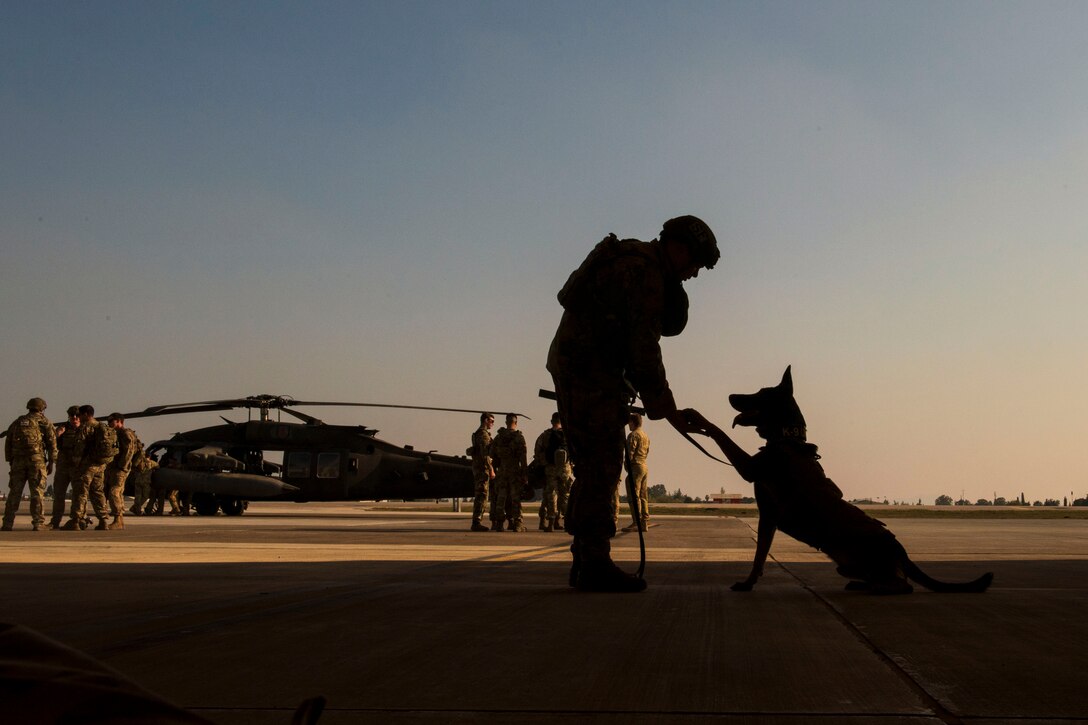An airman holds a military working dog’s paw, shown in silhouette, while other troops stand near a helicopter in the background.