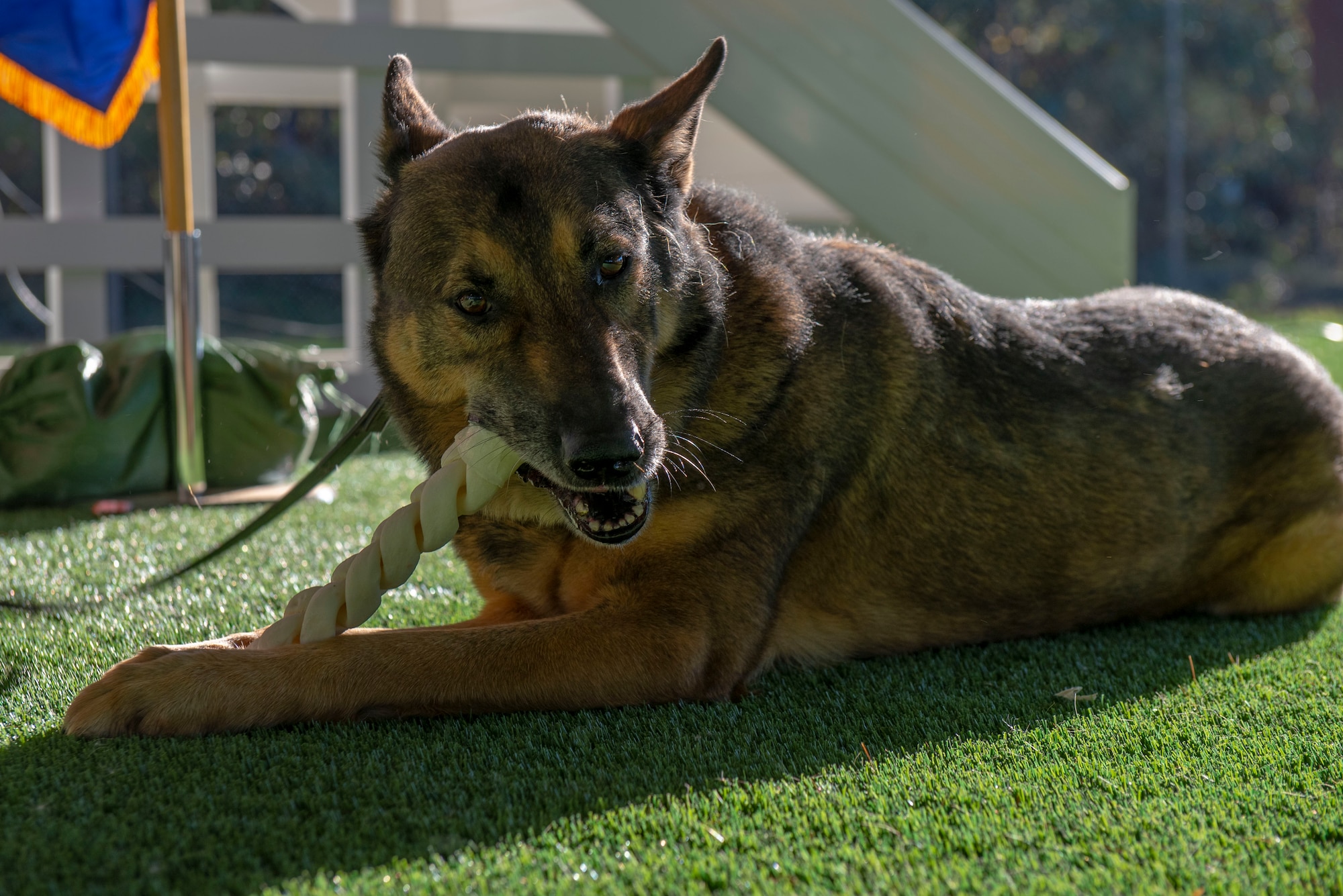 A MWD takes part in a retirement ceremony.