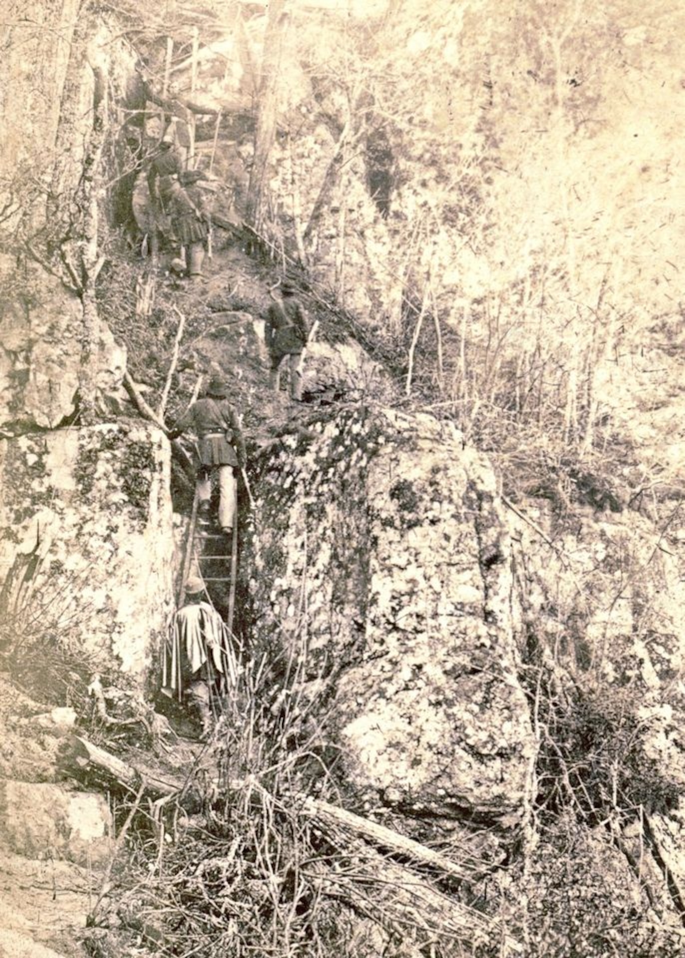 Climb to the summit of Roper's Bluff.