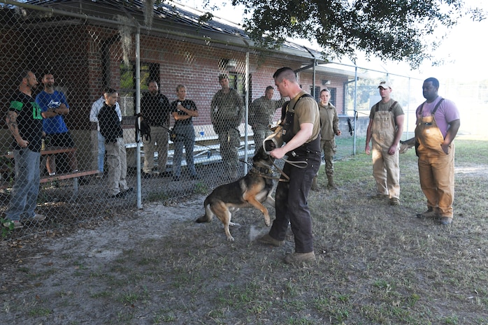 The Green Dog Seminar is the first shared practices seminar of its kind in the Department of Defense and hopes to give handlers more tools and techniques for future use.