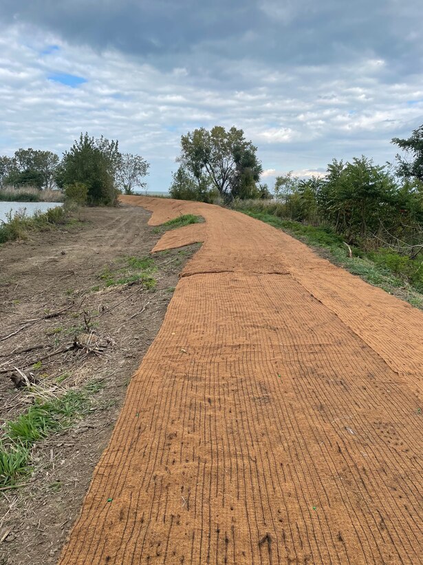 Seed cover on top of an earthen berm