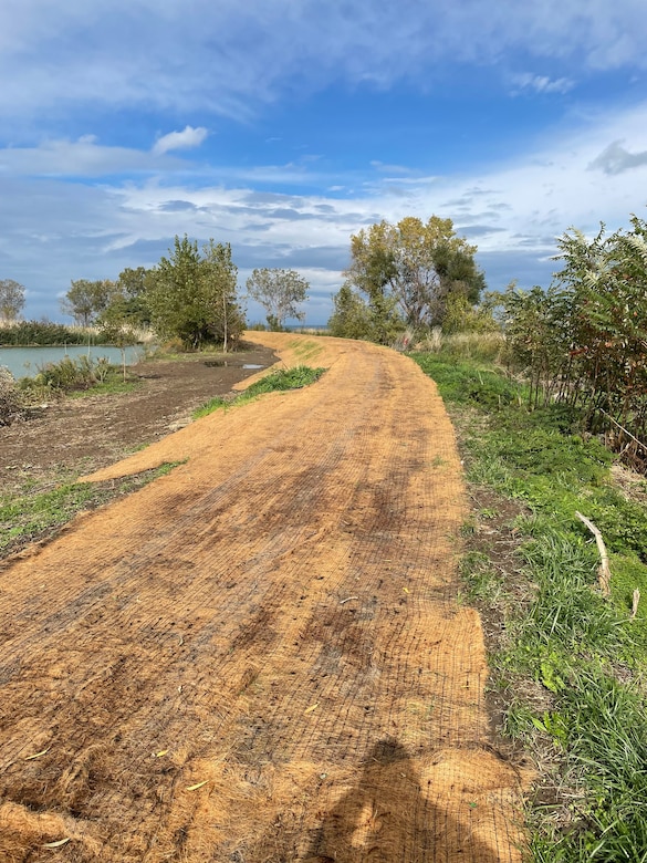 Seed cover on top of an earthen berm