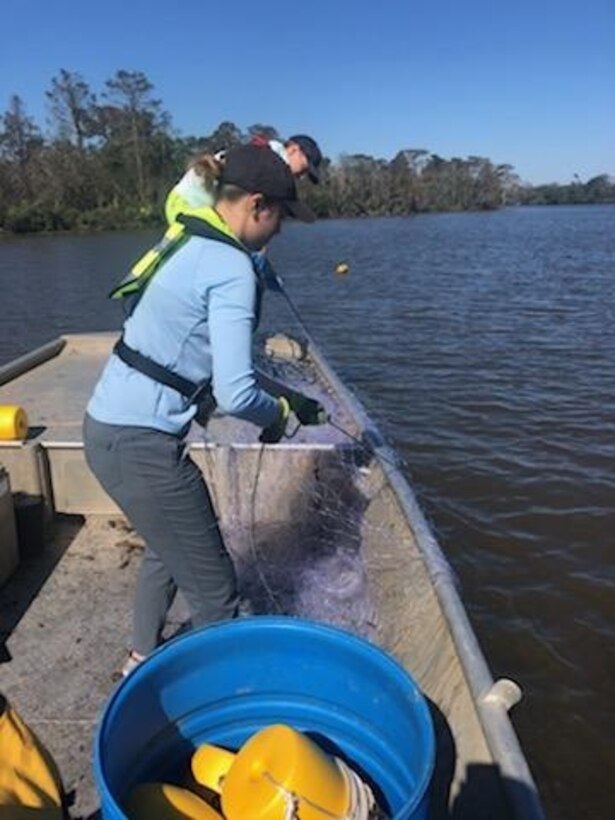 Dr. Amy Yarnall, Oak Ridge Institute for Science and Education postdoctoral fellow, and Austin Draper, graduate student at The University of Southern Mississippi, pull in a gill net for Gulf Sturgeon. (Photo credit: Kati Wright, The University of Southern Mississippi)