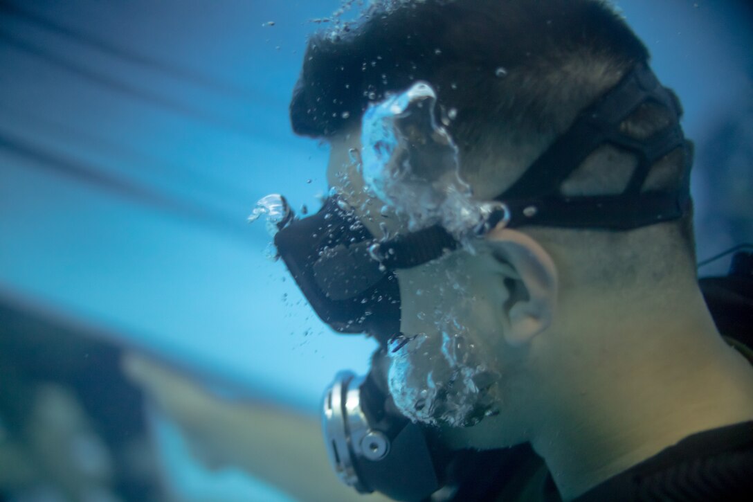 3d Force Reconnaissance Company conducts swim qualifications and combatant diver training