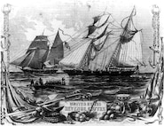 Engraving/print of the USRC Morris, no date