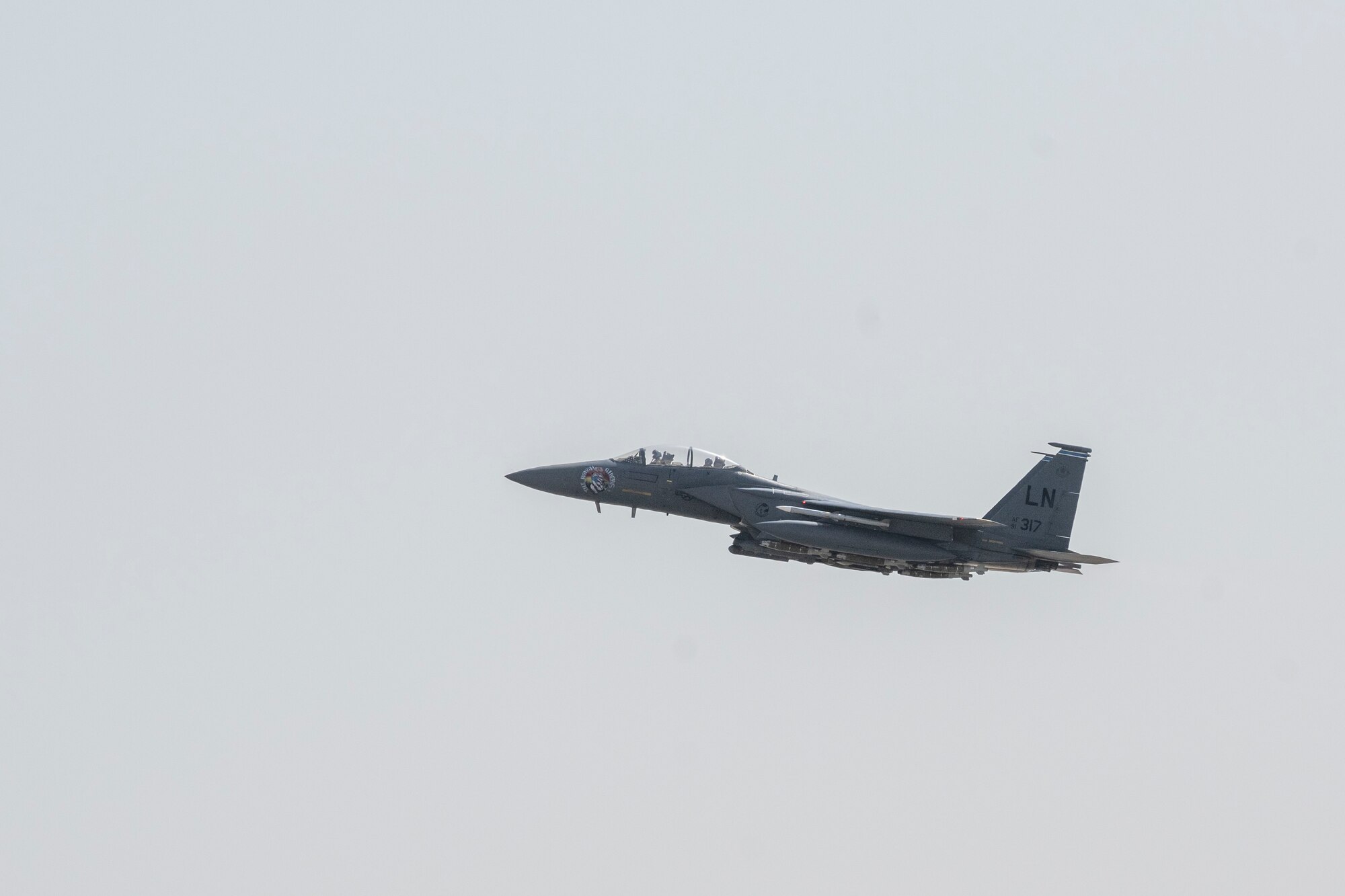 F-15 in flight