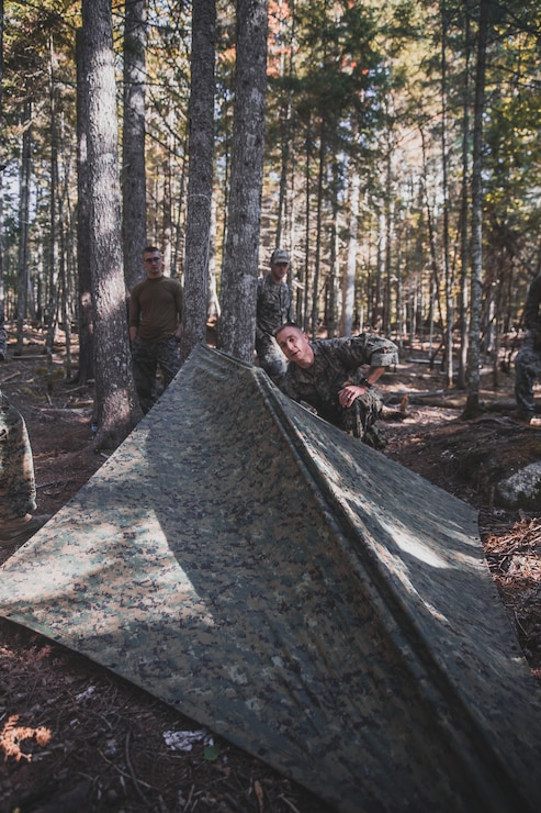 U.S. Marine Corps Gunnery Sgt. Philip Sinelli Jr., the assistant operations chief with Bravo Company, 2d Reconnaissance Battalion, 2d Marine Division, constructs a shelter during a training exercise in northern Maine on Sept. 19, 2021. The training was designed to improve survival skills in a diverse environment. (U.S. Marine Corps photo by Cpl. Elijah J. Abernathy)