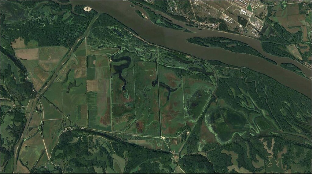 Green Island Habitat Rehabilitation and Enhancement Project