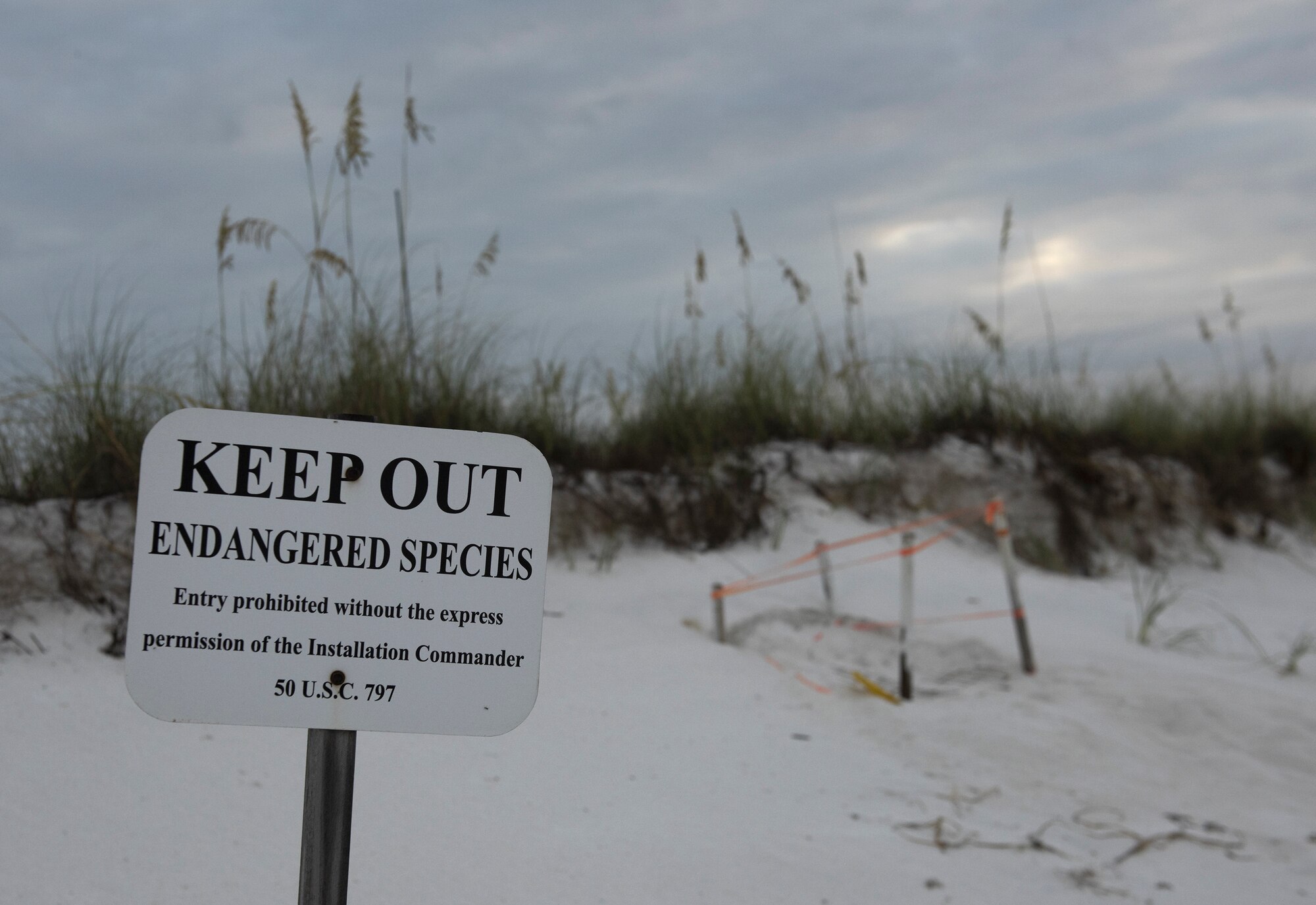 Sea Turtle season comes to an end