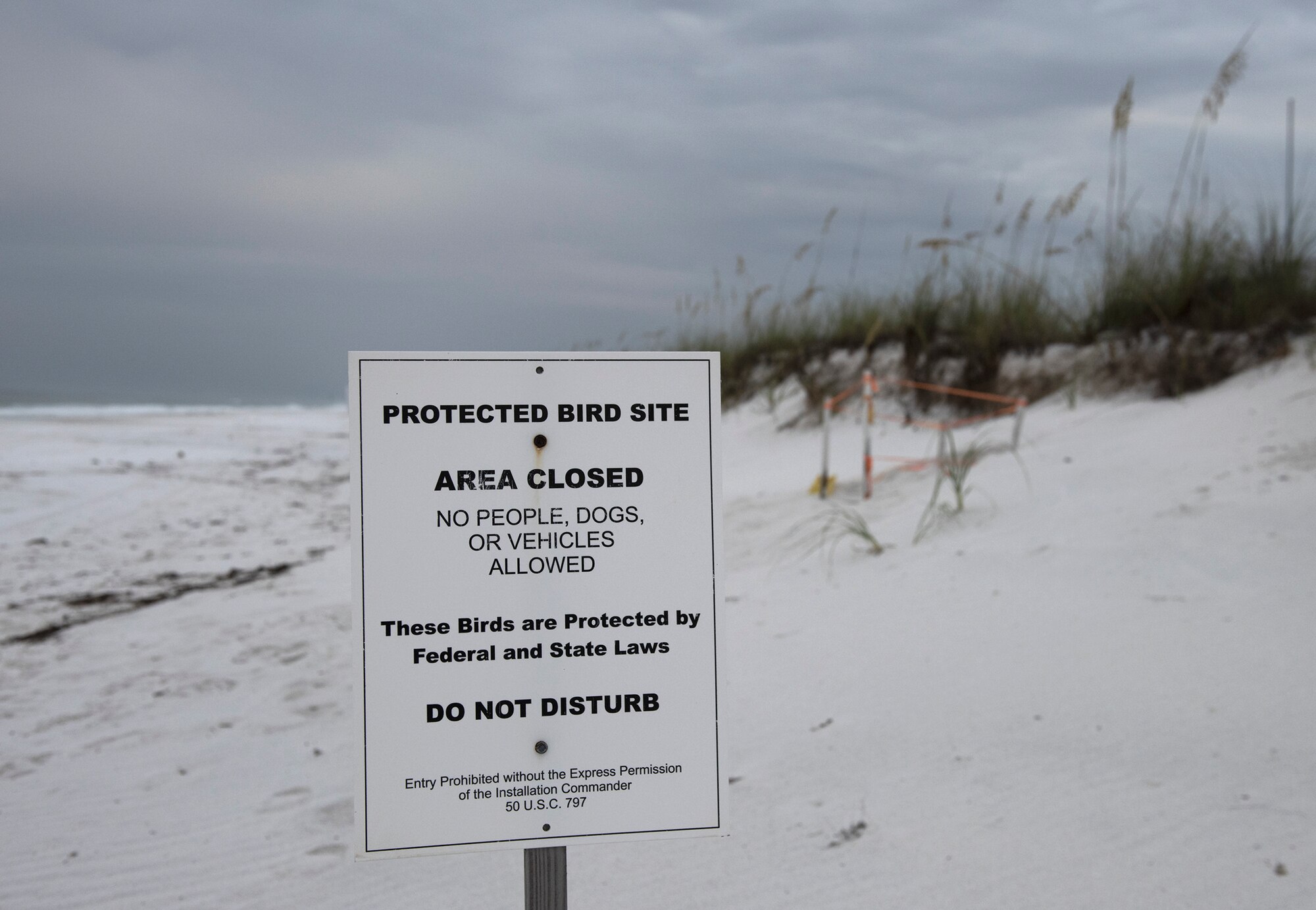 Sea Turtle season comes to an end