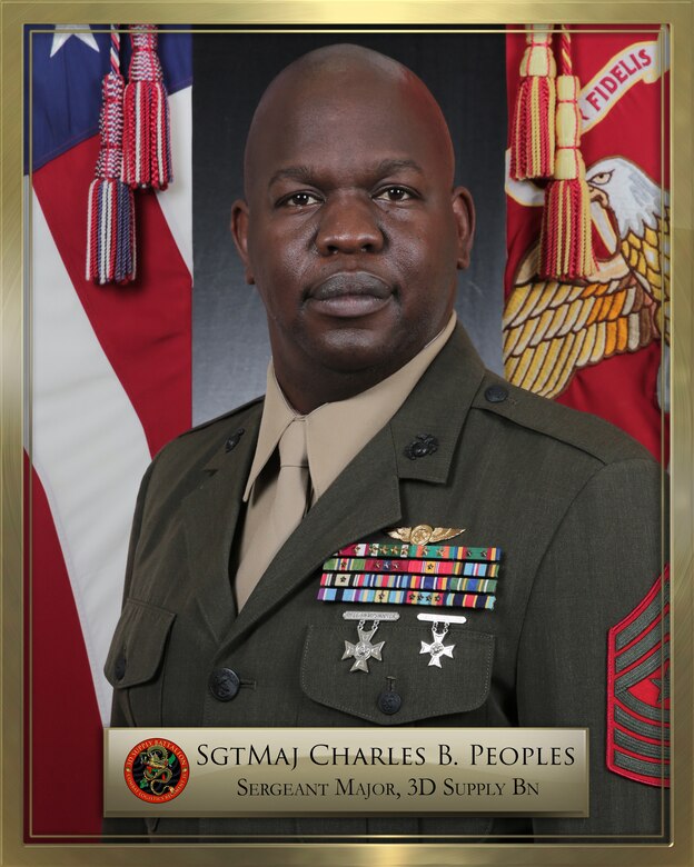 Sgt Maj. Charles B. Peoples official biography photo
