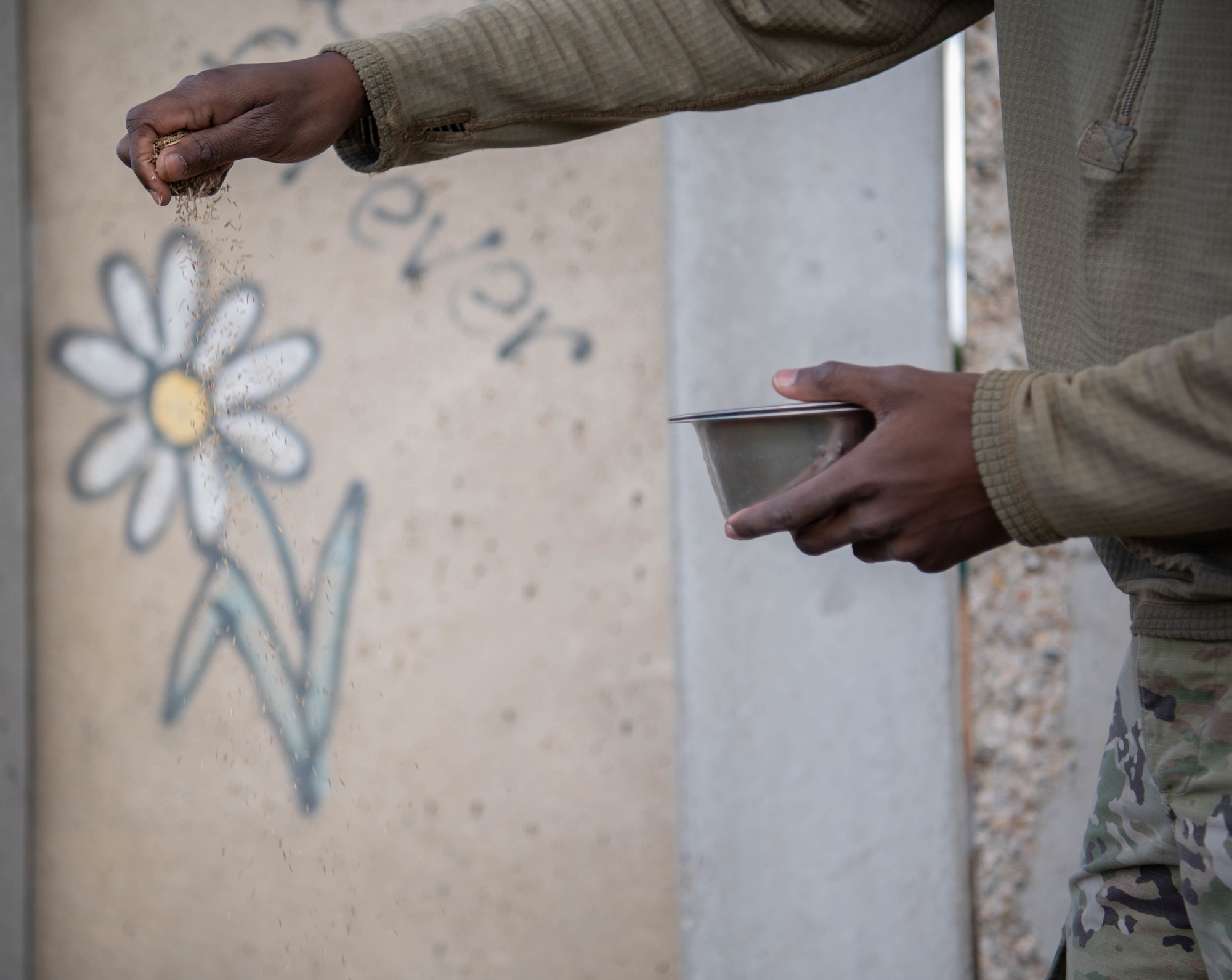 U.S. Air Force Senior Airman Michael Crowder, 786th Civil Engineer Squadron heavy equipment operator, spreads grass seeds at the site of the Berlin Wall memorial at Ramstein Air Base, Germany, Sept. 30, 2021.