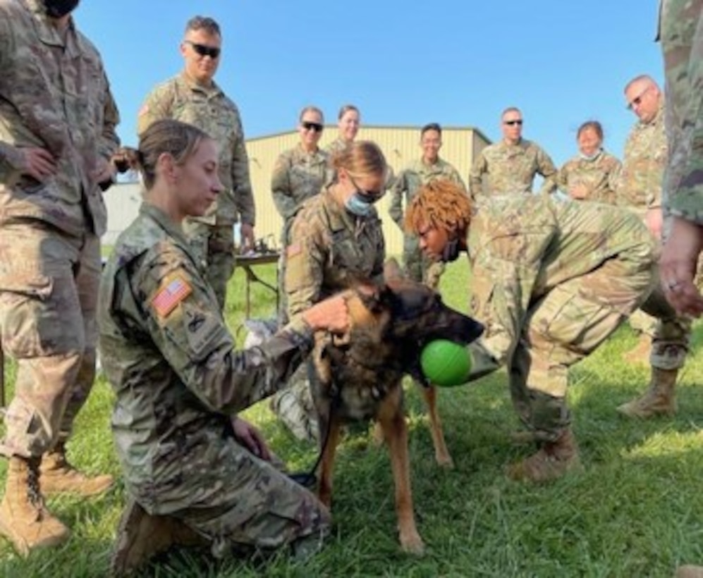 Capt. Elizabeth Fish, 64A - Field Veterinary Service Officer with the 147th Med. Det. (Vet Srvc) provided training in Tactical Combat Casualty Care, basic triage, and advanced treatment and stabilization of Military Working Dogs as part of a joint Army Reserve and Air Reserve training event at the Niagara Falls Air Reserve Station.