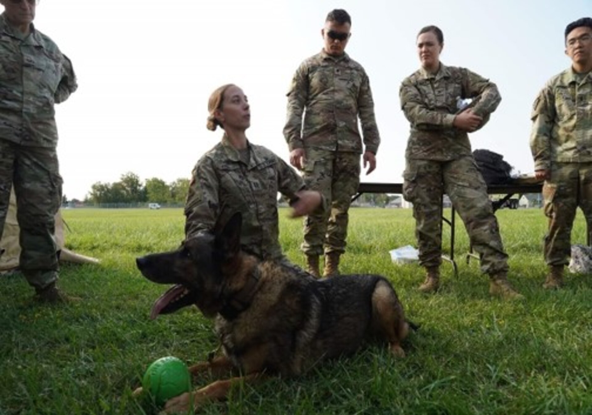 Capt. Elizabeth Fish, 64A - Field Veterinary Service Officer with the 147th Med. Det. (Vet Srvc) provided training in Tactical Combat Casualty Care, basic triage, and advanced treatment and stabilization of Military Working Dogs as part of a joint Army Reserve and Air Reserve training event at the Niagara Falls Air Reserve Station.