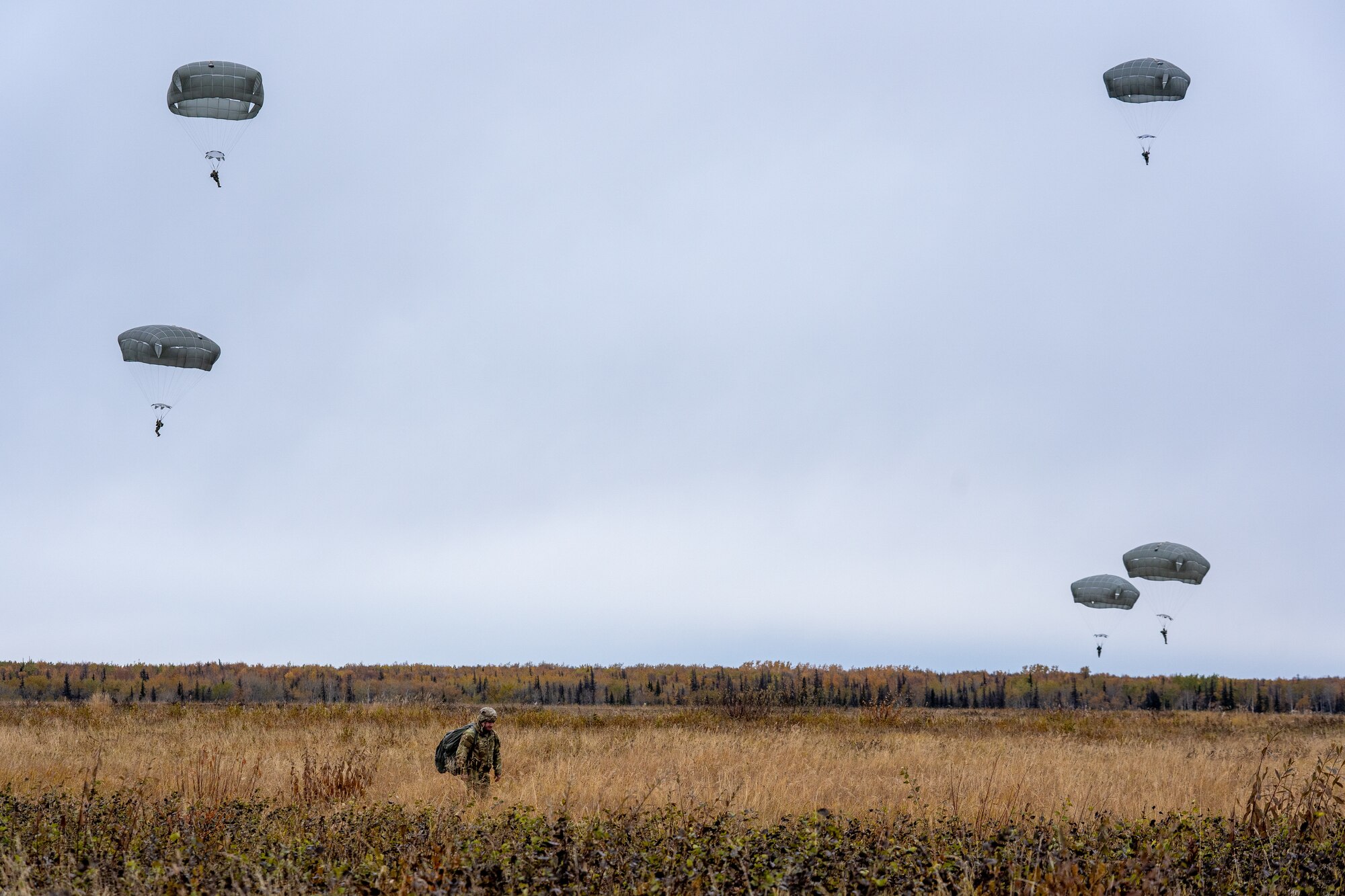 U.S. Army paratroopers assigned to the 4th Infantry Brigade Combat Team (Airborne), 25th Infantry Division, U.S. Army Alaska, land after jumping from a CH-47 Chinook.