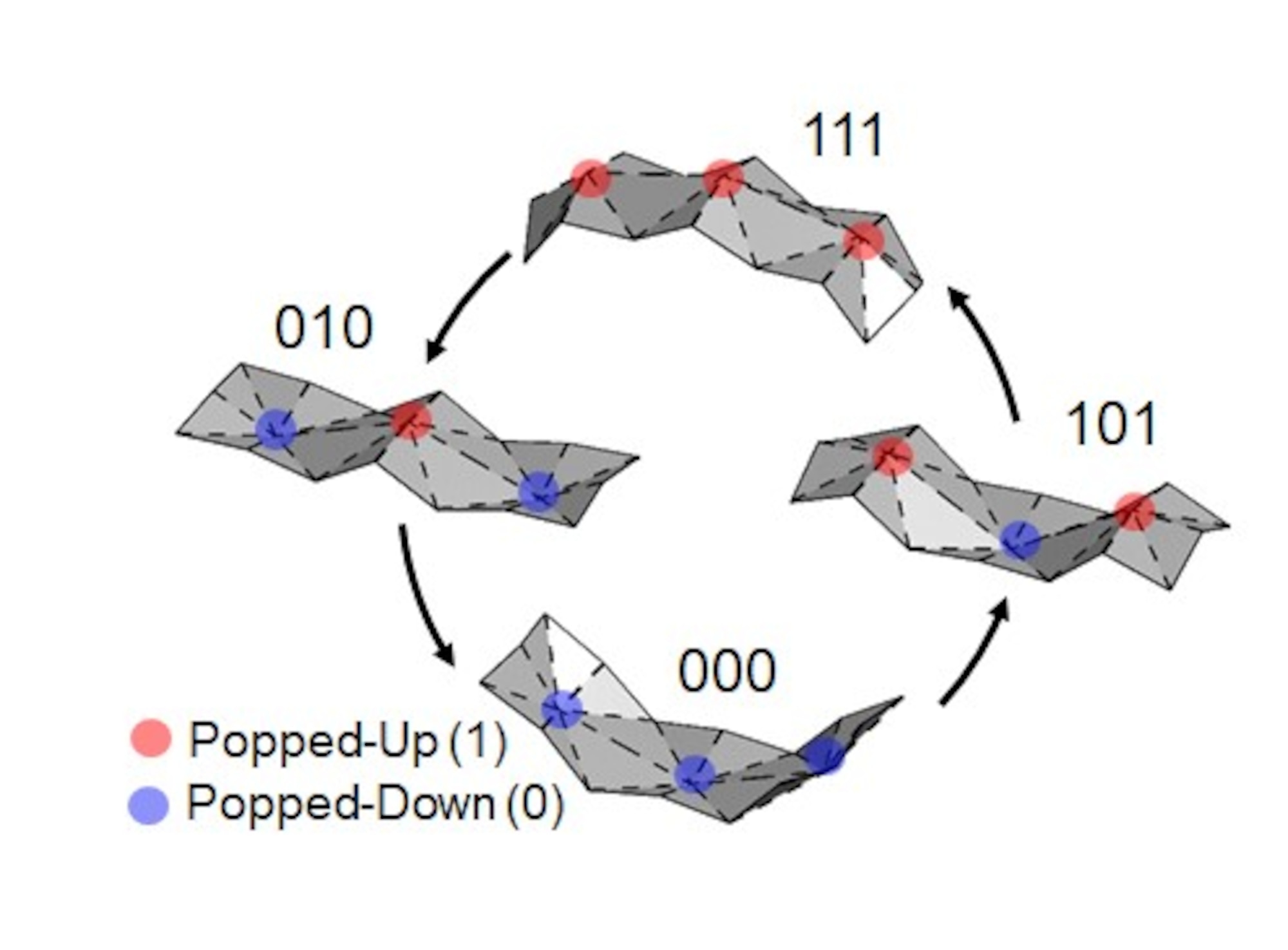 A multi-stable origami structure with digital information abstracted from the popped-up (1) and popped-down (0) bit states.
