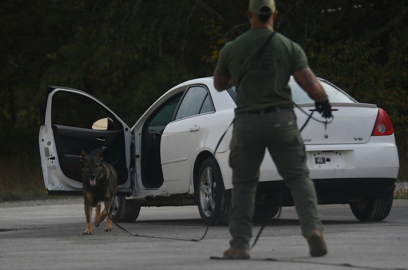 Alpena CRTC hosts canine handlers training