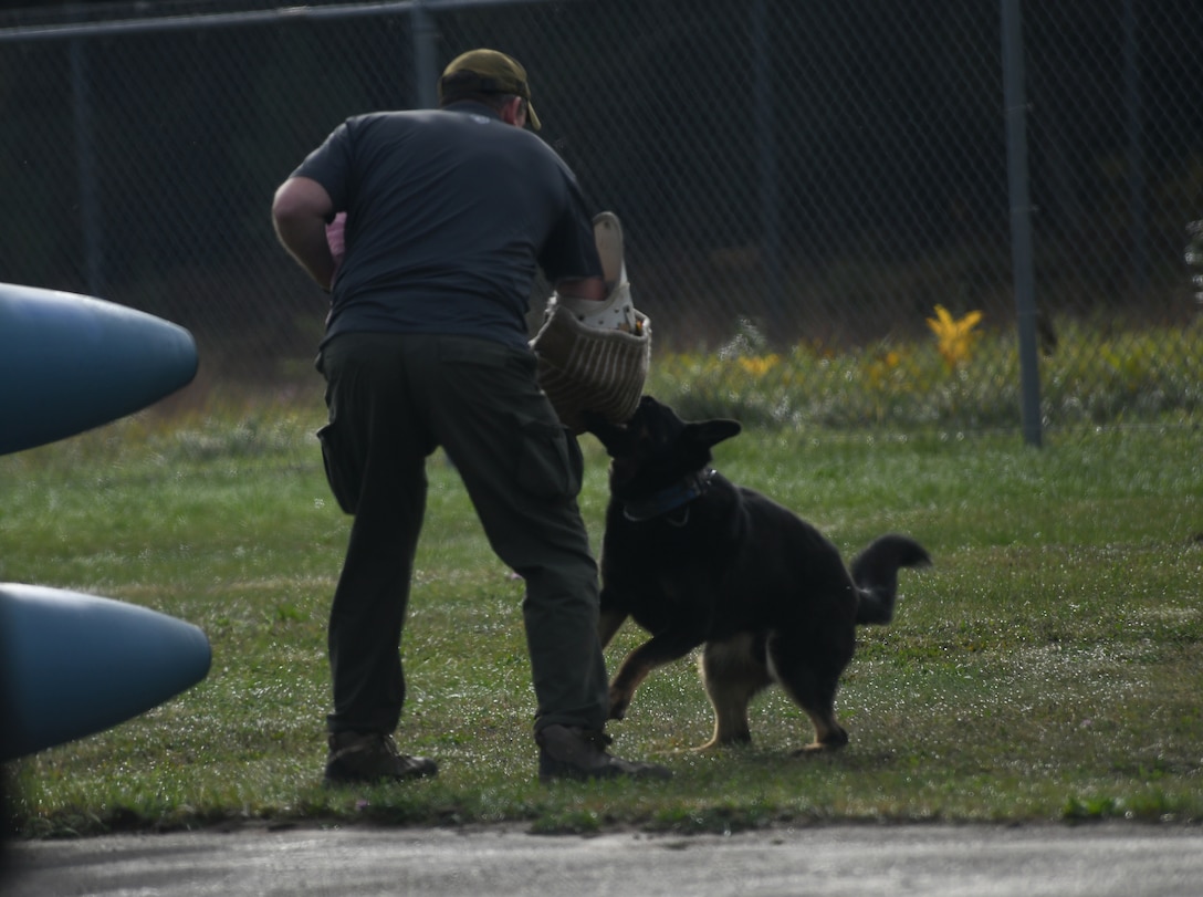 Alpena CRTC hosts canine handlers training